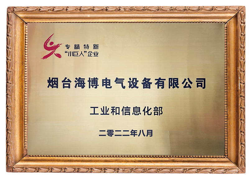 專(zhuān)精特新小巨人企業(yè)