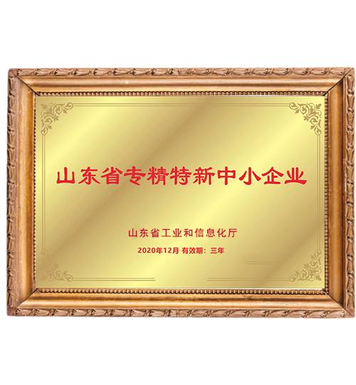 山東省專(zhuān)精特新中小企業(yè)