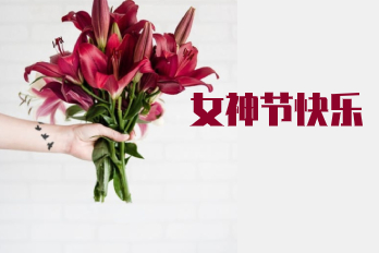 春風(fēng)十里不如你——海博女神們：節日快樂(lè )！