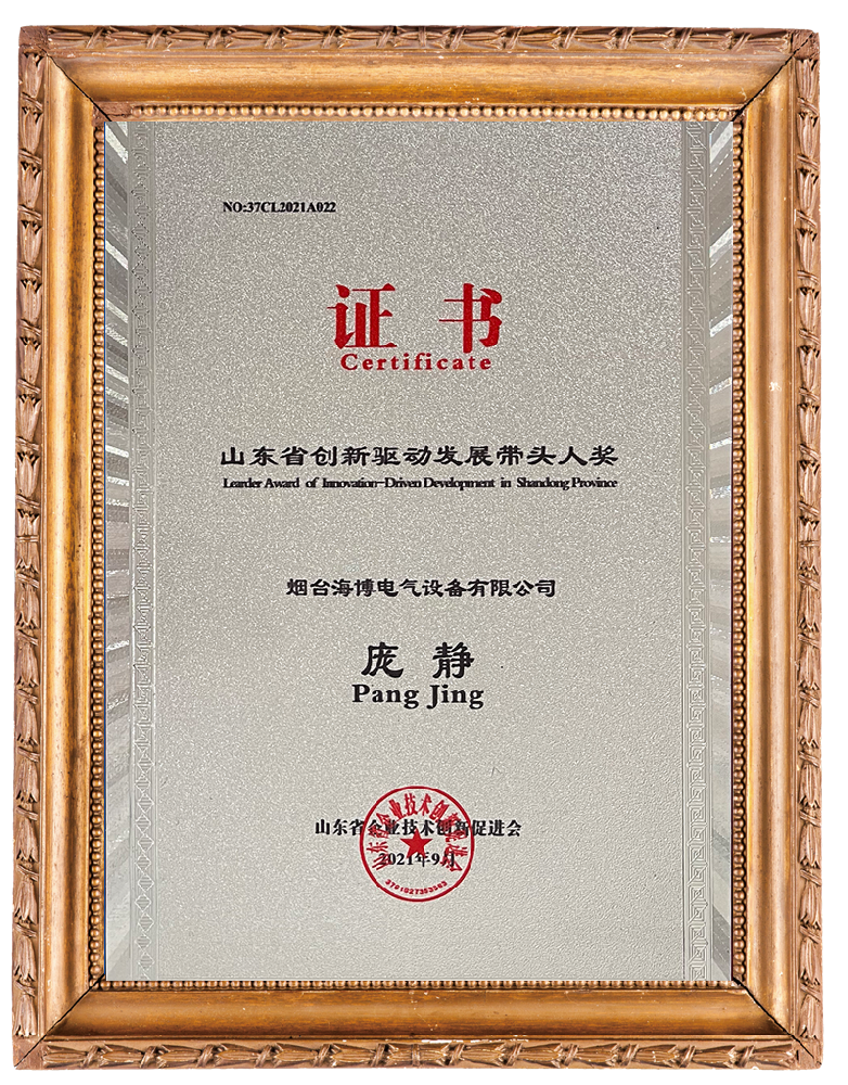 山東省創(chuàng  )新驅動(dòng)發(fā)展帶頭人獎
